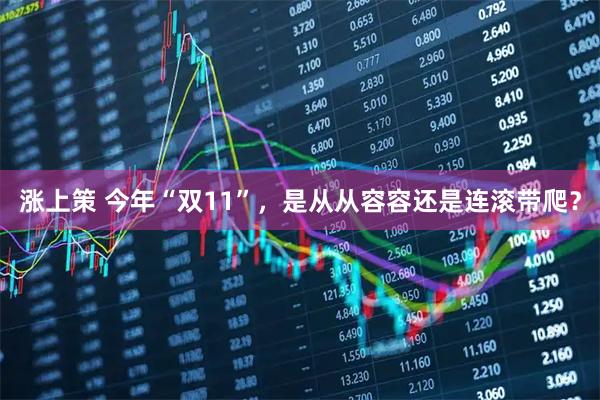 涨上策 今年“双11”，是从从容容还是连滚带爬？