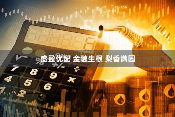 盛盈优配 金融生根 梨香满园