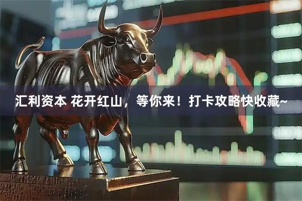 汇利资本 花开红山，等你来！打卡攻略快收藏~